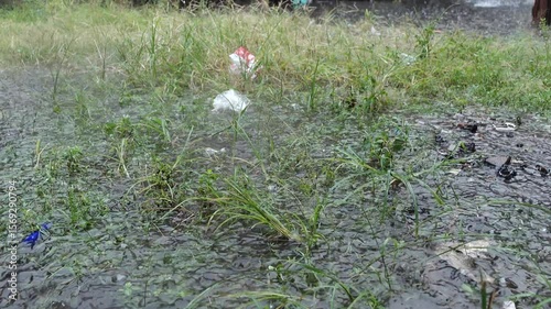 Rain falls in a yard filled with green plants, forming water puddles on the ground alongside scattered plastic waste