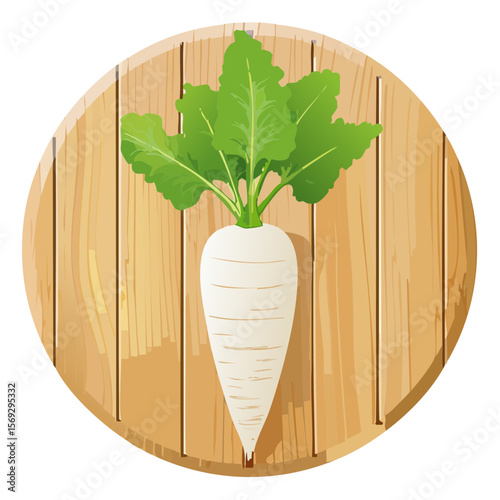 Daikon radish on a wooden barrel top, isolated vector illustration