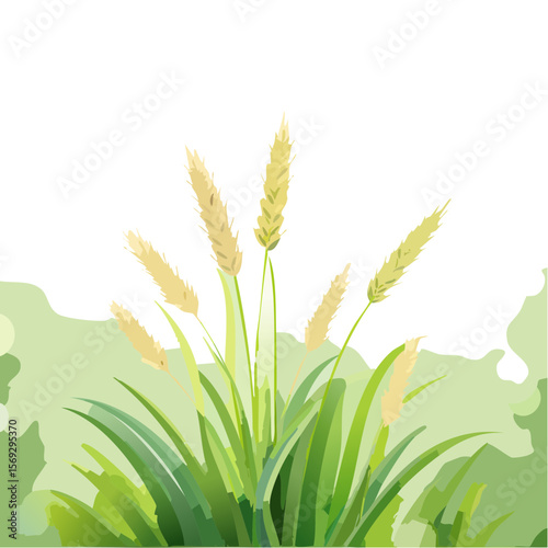 Vector illustration of wheat and grass