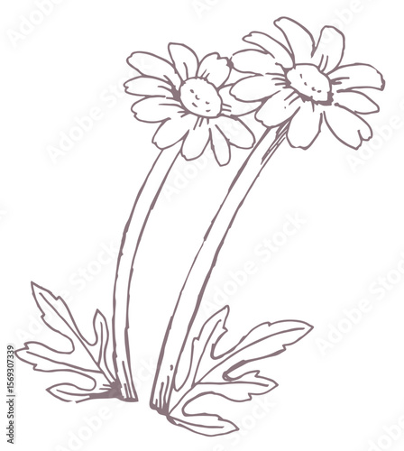 花のスケッチ素材。ベクターイラスト素材。