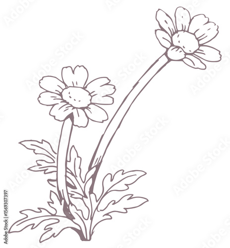 花のスケッチ素材。ベクターイラスト素材。
