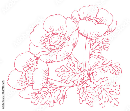 花のスケッチ素材。ベクターイラスト素材。