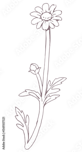 花のスケッチ素材。ベクターイラスト素材。