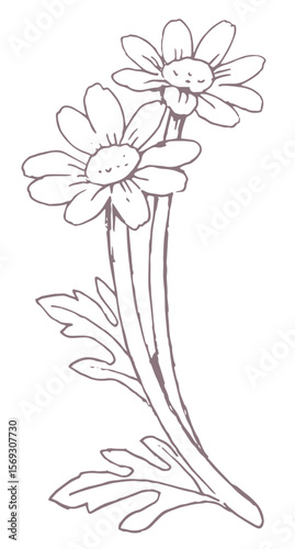 花のスケッチ素材。ベクターイラスト素材。