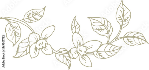 花のスケッチ素材。ベクターイラスト素材。