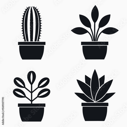 Four potted houseplants including a cactus and succulents isolated on white background