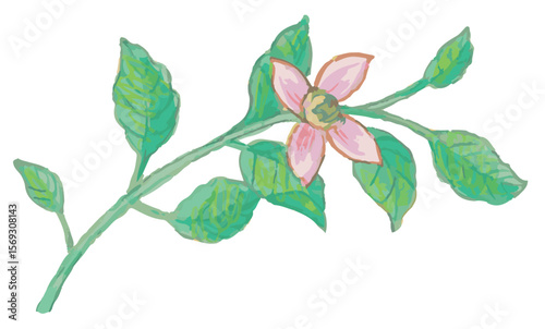 花のスケッチ素材。ベクターイラスト素材。