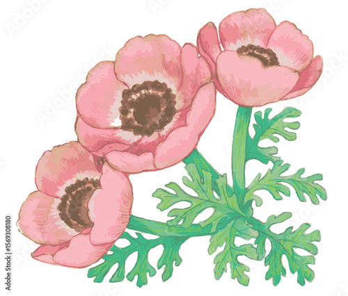 花のスケッチ素材。ベクターイラスト素材。