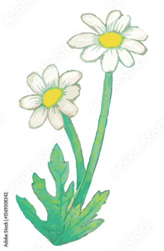 花のスケッチ素材。ベクターイラスト素材。