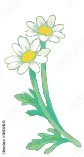 花のスケッチ素材。ベクターイラスト素材。