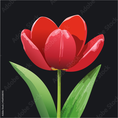Elegant Red Tulip Illustration on Black Background for Floral Designs