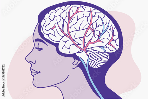 Detailed Anatomical Illustration of the Human Brain Highlighting Major Lobes and Neural Pathways