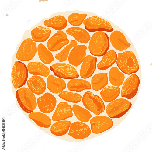 Dried Apricots Circle: Sweet, Chewy and Nutritious Snack