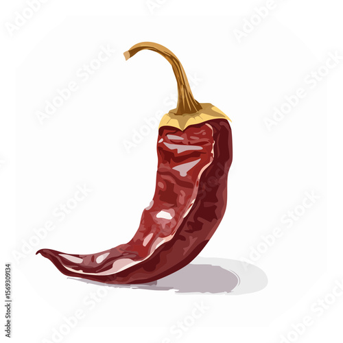 Detailed illustration of a dried chili pepper in vibrant red and brown tones