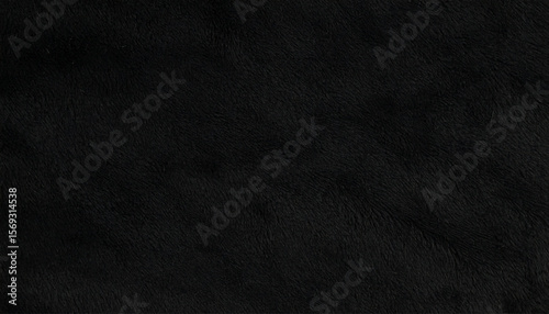 Black Soft Fur Texture. Flat Surface. Background. Wallpaper.