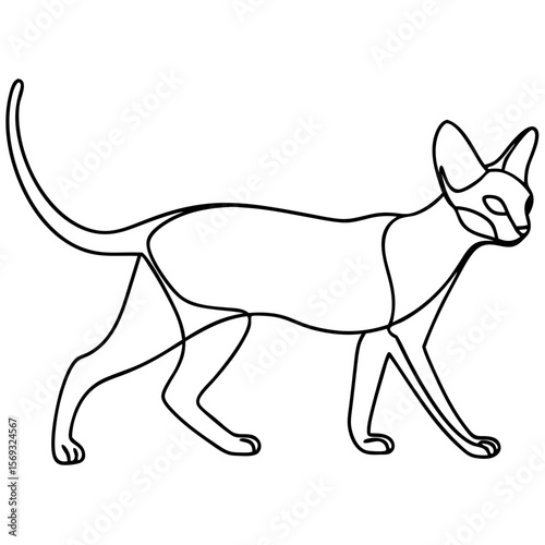 Oriental shorthair walking gracefully drawn in line art style. Oriental shorthair is depicted with minimal lines, showcasing its elegance and sleek form.