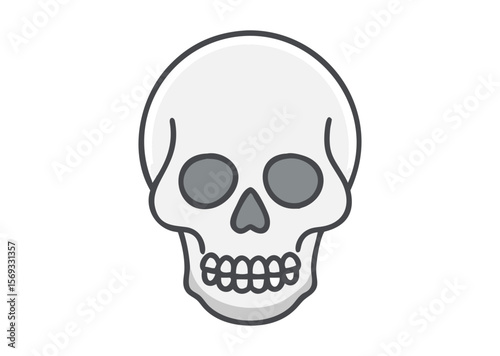 A human skull Vector, skull Icon Illustration