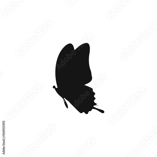 Silhouette of a butterfly, wings partially open, against a white background.
