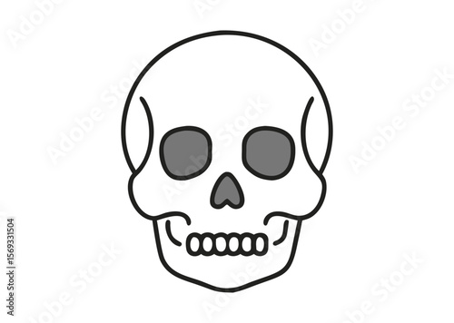A human skull Vector, skull Icon Illustration