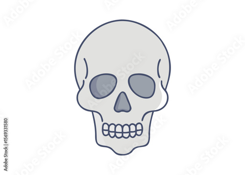 A human skull Vector, skull Icon Illustration