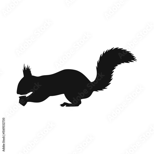 Silhouette of a squirrel in a dynamic pose, foraging.