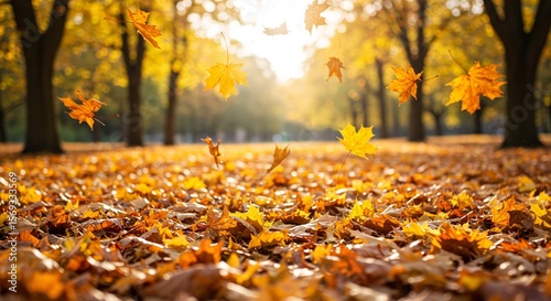Fototapeta Naklejka Na Ścianę i Meble -  Golden autumn leaves falling in a park, creating a vibrant and scenic landscape