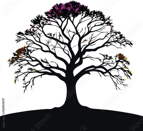 Stylized silhouette of a large tree with bare branches and hints of colorful foliage in purple and orange isolated on transparent background silhouette