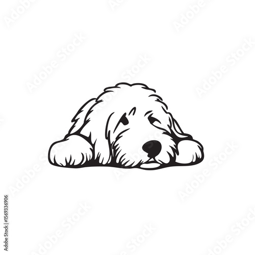 A fluffy dog rests its head, looking forward.