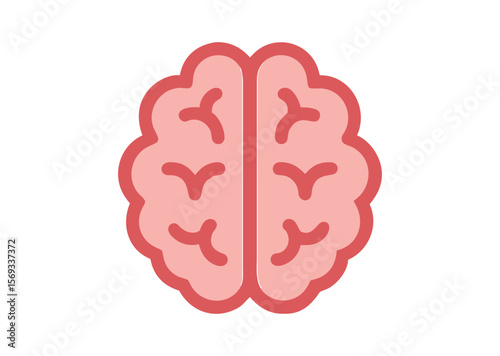 Brain Vector, Brain Icon Illustration