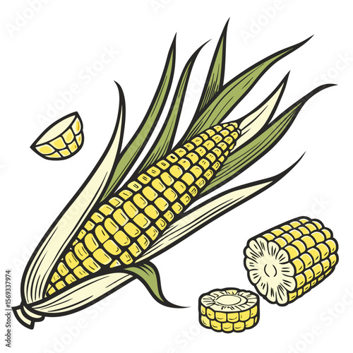 corn cobs isolated on white