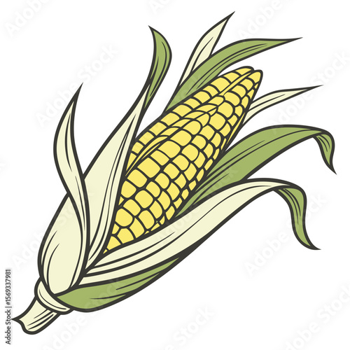 corn on the cob vector