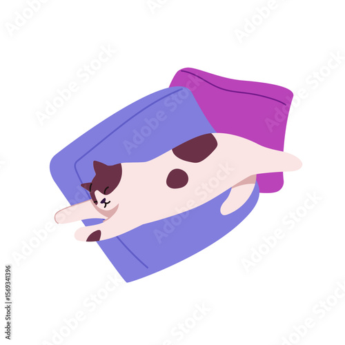 Cute asleep cat stretching, spreads on bed. Tired kitten lying, napping on pillows. Adorable kitty sleeps, relaxes, has a rest on cushions. Flat isolated vector illustration on white background