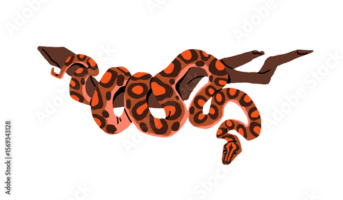 Curved snake relaxes on tree in jungle. Boa, python is hanging on branch in rainforest. Exotic serpent, tropical reptile, venomous animal. Flat hand drawn isolated vector illustration on white