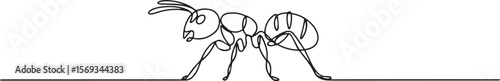 Continuous one line drawing of a soldier ant in minimal single line art style, editable black vector

