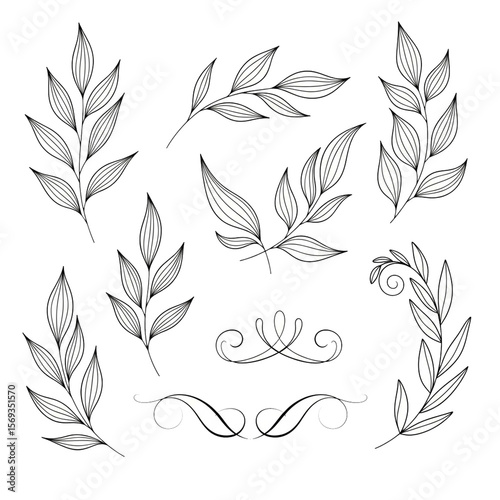 Elegant Botanical Line Art Leaves, Swirls, and Floral Elements Collection