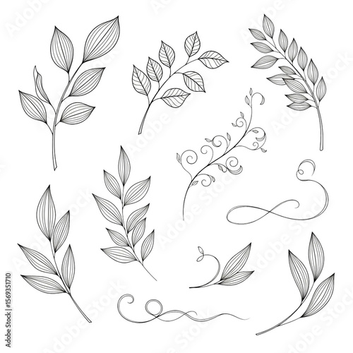 Elegant Botanical Line Art Leaves, Swirls, and Floral Elements Collection
