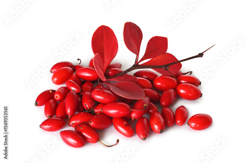 Ripe barberries with branch and leaves