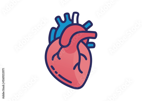 Anatomical Heart Vector, Anatomical Heart Icon Illustration