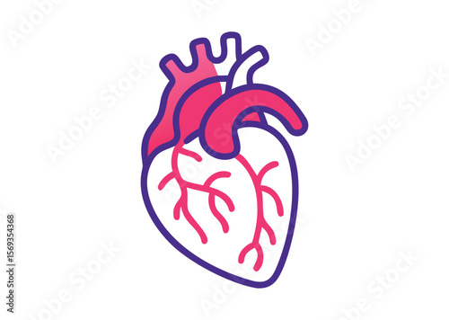 Anatomical Heart Vector, Anatomical Heart Icon Illustration