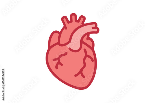 Anatomical Heart Vector, Anatomical Heart Icon Illustration