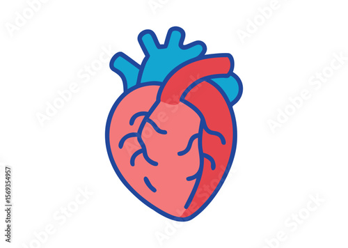 Anatomical Heart Vector, Anatomical Heart Icon Illustration