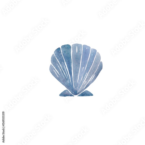 Blue shells in a simple watercolor style on a white background