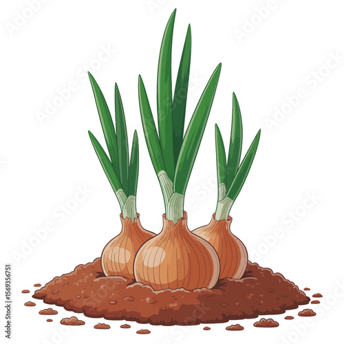 Three Young Onion Plants Growing in Soil