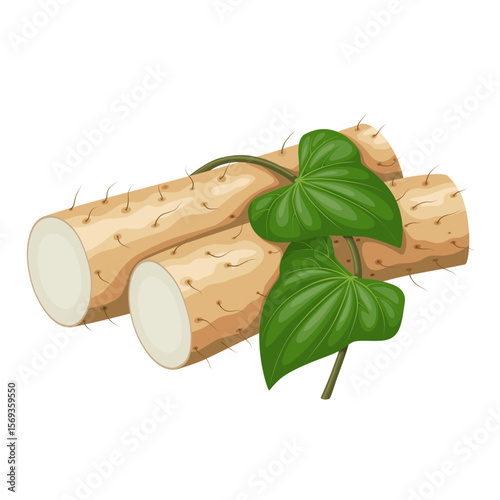 Illustration of Chinese yam or Dioscorea polystachya, isolated on white background.cheese and wine