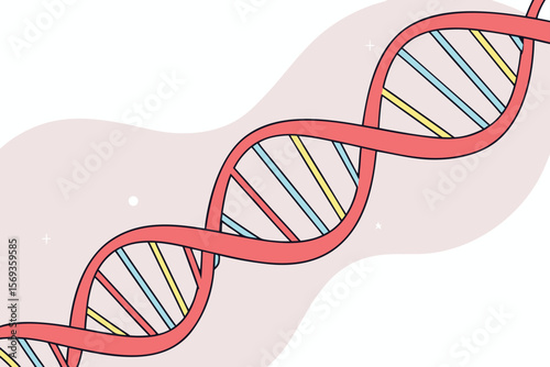 DNA stand in 3D