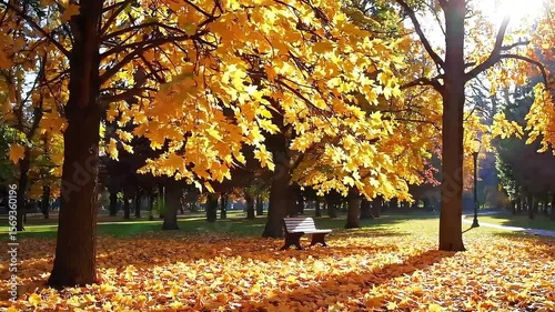 Yellow Autumn Leaves Covering Grass in Sunny Fall Park Creating a Warm and Serene Seasonal Landscape Scene