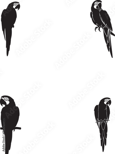 Macaw  Silhouettes