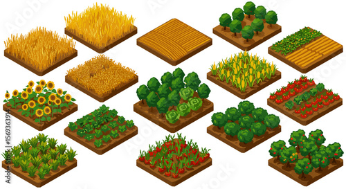 Isometric farm crop designs for agricultural themes vector illustration