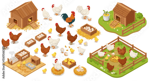 Farm animals and chicken coops vector illustration for educational and design use in isometric style