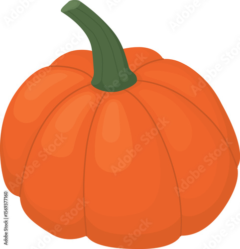Bright pumpkin isolated on white background. Illustration of cute autumn vegetable for Halloween or Thanksgiving